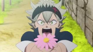 Anime in a nutshell