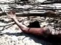 Download Jal Pari Fish Female.mpg MP3 song and Music Video