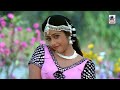 Thannane Thamarapoo HD song   | Vijayakanth  | Meena தன்னானே தாமரப்பூ