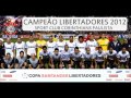 gol na final libertadores