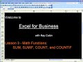 SUM SUMIF COUNT COUNTIF - Excel for Business - Lesson 3