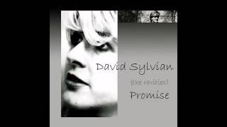 Watch David Sylvian Promise video