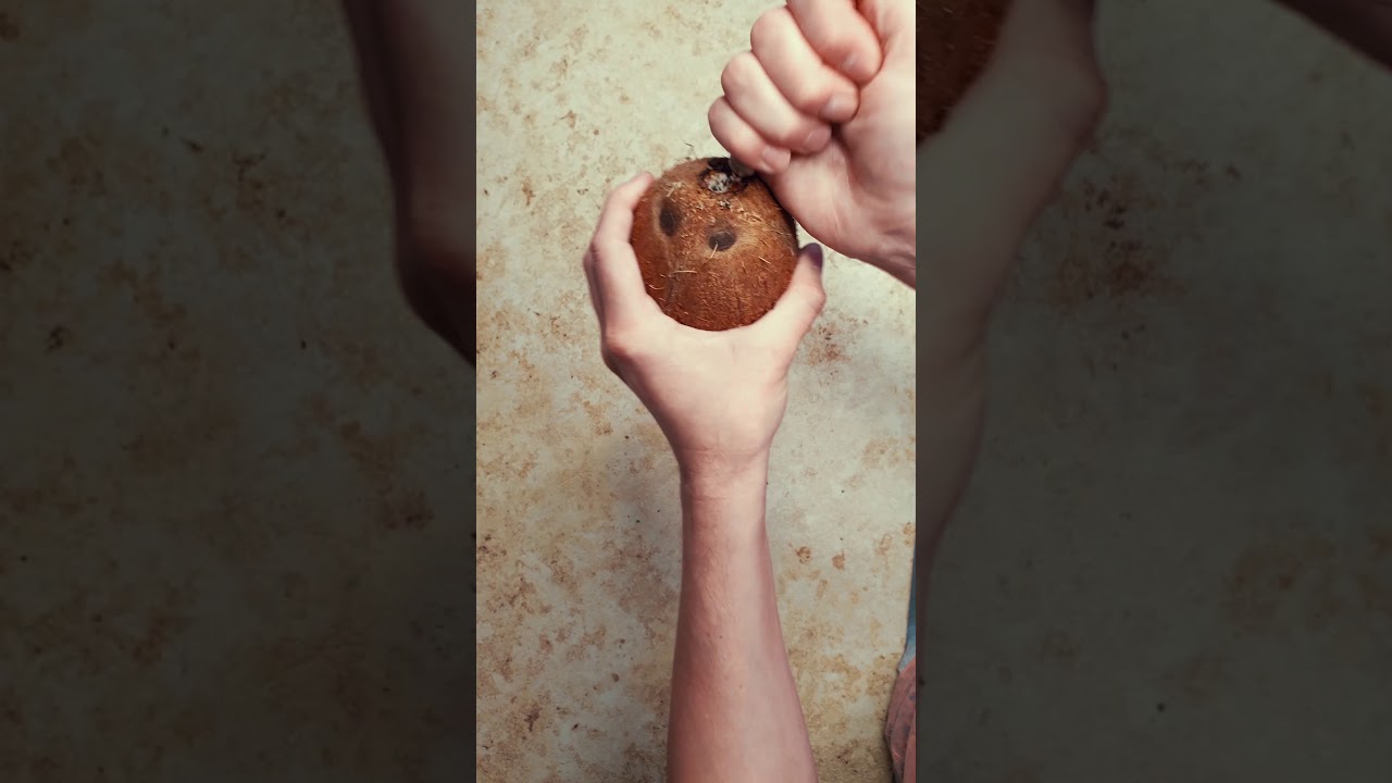 Сводная сестра показывает как открыть кокос в ноябре
