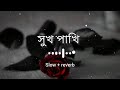 সুখ পাখি তোর প্রেমে মন মজাইয়া আমি / Shukh pakhi tor preme /bm baplu official | F A FUMON | lofi song