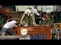 TORO CASI MATA A JINETE EN UNA MONTA DE TOROS (TORO ASESINO)