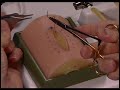 Gaping Wound Video preview
