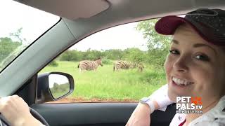 Brenna's Africa safari adventure