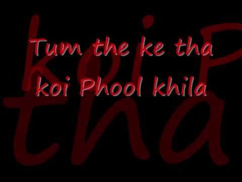 Veer Zaara Do Pal Lyrics.wmv