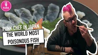 PUNK CHEF IN JAPAN: The world most poisonous fish