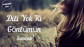 Sancak - Dili Yok Ki Gönlümün (Şarkı Sözü/Lyrics) HD