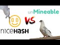 CPU Mining Nicehash vs Unmineable