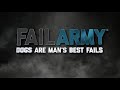 Dogs Are Man's Best Fails!! (May 2018) | FailArmy
