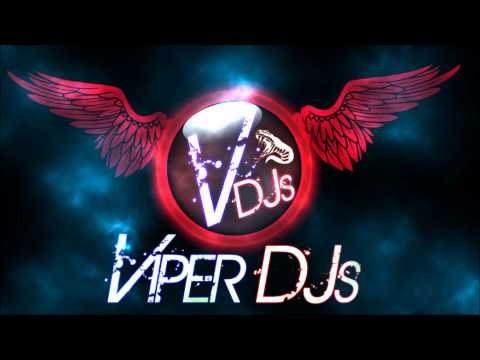 Bhangra Mix Part 1 | Viper DJs