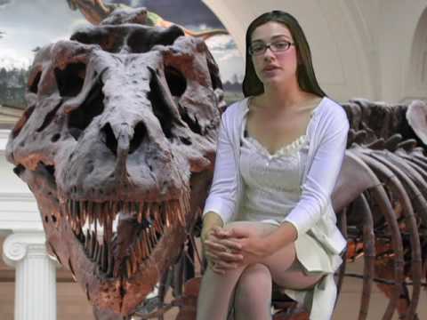 Interesting Dinosaur Trivia 1, Hot Facts Model Rachel
