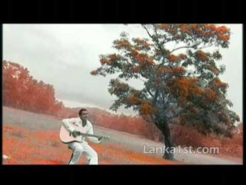 sri lankan music video - gayantha - sudu pata mal vatuna