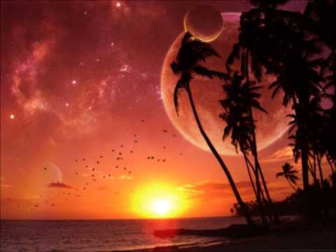 R.I.O. - Animal