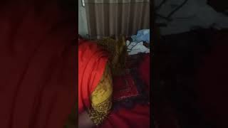 Super Hot Bangladeshi Bhabi Episode 0042 Hot Live