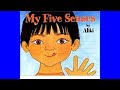 My Five Senses - (Read Aloud)