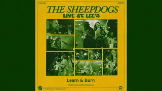 Watch Sheepdogs Learn  Burn video