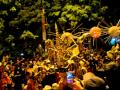 On Saturday evening June 25th 2011, the main street of Solo in Central Java turned into a massive Ru