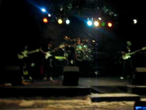 power matal-serigala malam