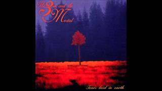 Watch 3rd The Mortal In Mist Shrouded video