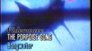 Watch Bongwater The Porpoise Song video