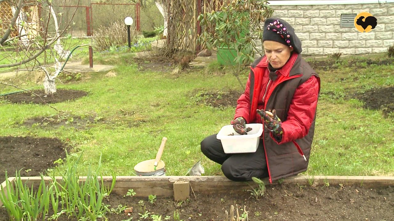 День за днем загородный День за днем загородный