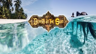 Mon Atdc Sur Le Tomb Raider Réaliste Beasts In The Sun Pc
