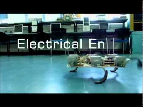 Technion Robots -- Snake, Worm, Wall Crawling, Algorithms, Multi Agent