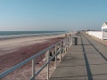 A walk from Smith Point to the new Inlet after Hurricane Sandy Fire Island NY