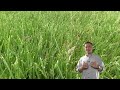 LawnCareMidwest