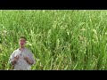LawnCareMidwest