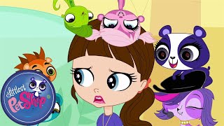 Littlest Pet Shop Blythes Big Adventure Part One Season 1 Pet Cartoon