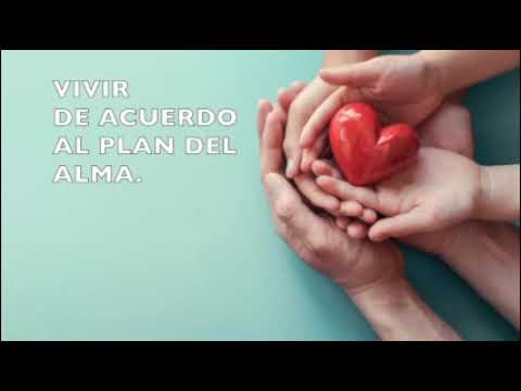 Todos los videos
