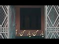 Diyar-E-Dil OST - Zeb Bangash & Momin Durrani | Aesthetics اردو