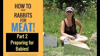 How to Raise Rabbits for Meat: Part 2 Preparing For Baby Rabbits