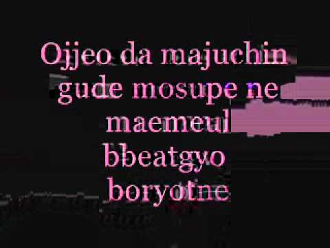 A Chance Encounter - The Stupid Lyrics.wmv