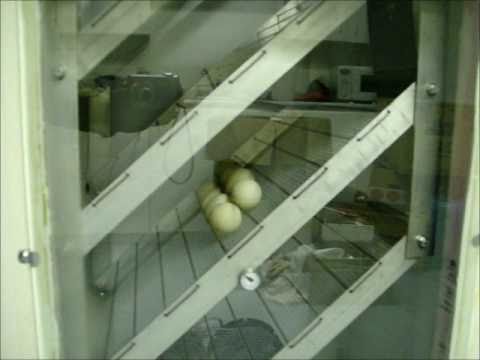 Homemade Automatic Incubator video