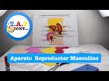 Como hacer la maqueta del Aparato Reproductor Masculino - TAP ZONE Mx.