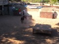 xisco coge la vaca