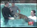 Sean Daly at Sanctuary zoo