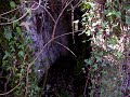 St Wenna's Holy Well, Tregonetha, nr St Columb Major, Cornwall