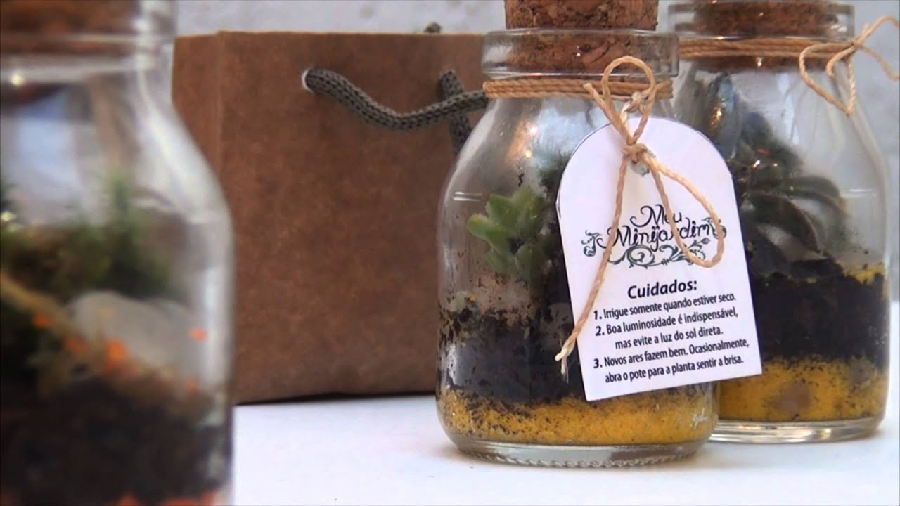 mini jardim terrario:Meu Mini Jardim. Ecossistema completo na palma da mão. – YouTube mini jardim terrario:Meu Mini Jardim. Ecossistema completo na palma da mão. – YouTube