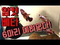 글라스장의베타일기 - 칼루타아쿠아 베타암컷 6마리 분양받은 후기
