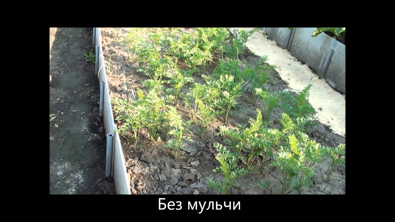Как сшить купальник своими руками фото. Выкройка купальника Как сделать свадебный сундучок для денег своими руками?