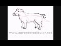 Como dibujar animales sencillos paso a paso