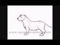 Como dibujar animales sencillos paso a paso
