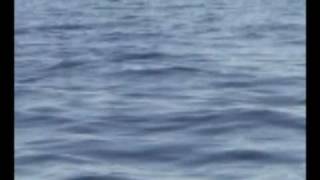 Watch XTC Quicksilver video