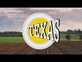 Texas EL-Tex 1400 -  1